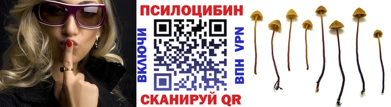 Псилоцибиновые грибы GOLDEN TEACHER  дарнет шоп  Собинка 